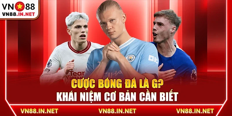 Cược bóng đá là gì? Khái niệm cơ bản cần biết