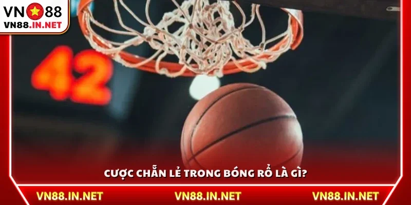 Cược chẵn lẻ trong bóng rổ là gì?