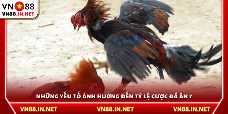 Các yếu tố tác động đến tỷ lệ cược đá ăn 7