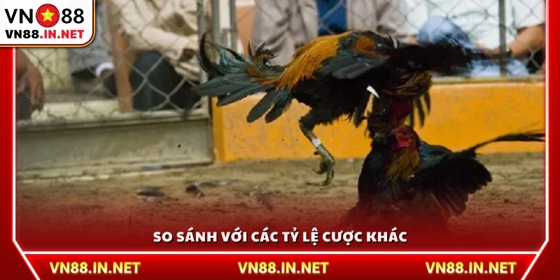 So sánh tỷ lệ cược đá ăn 8 với các tỷ lệ khác