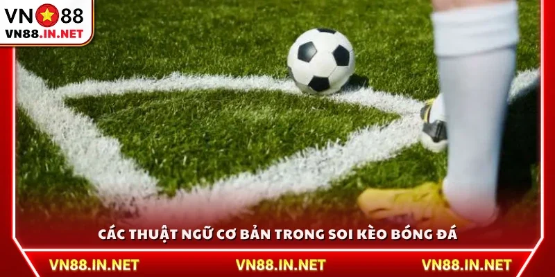Các thuật ngữ soi kèo bóng đá cơ bản cần nắm 